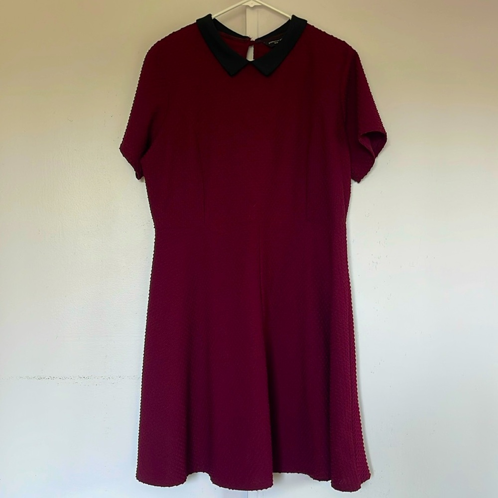 Dorothy Perkins collared dress